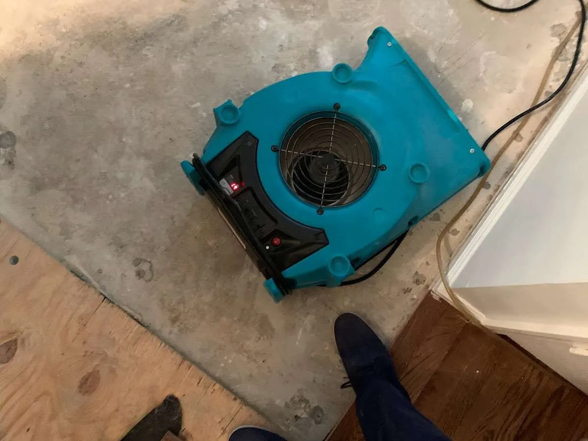 Air mover drying subfloor during Commercial Water Damage Restoration in Berthoud